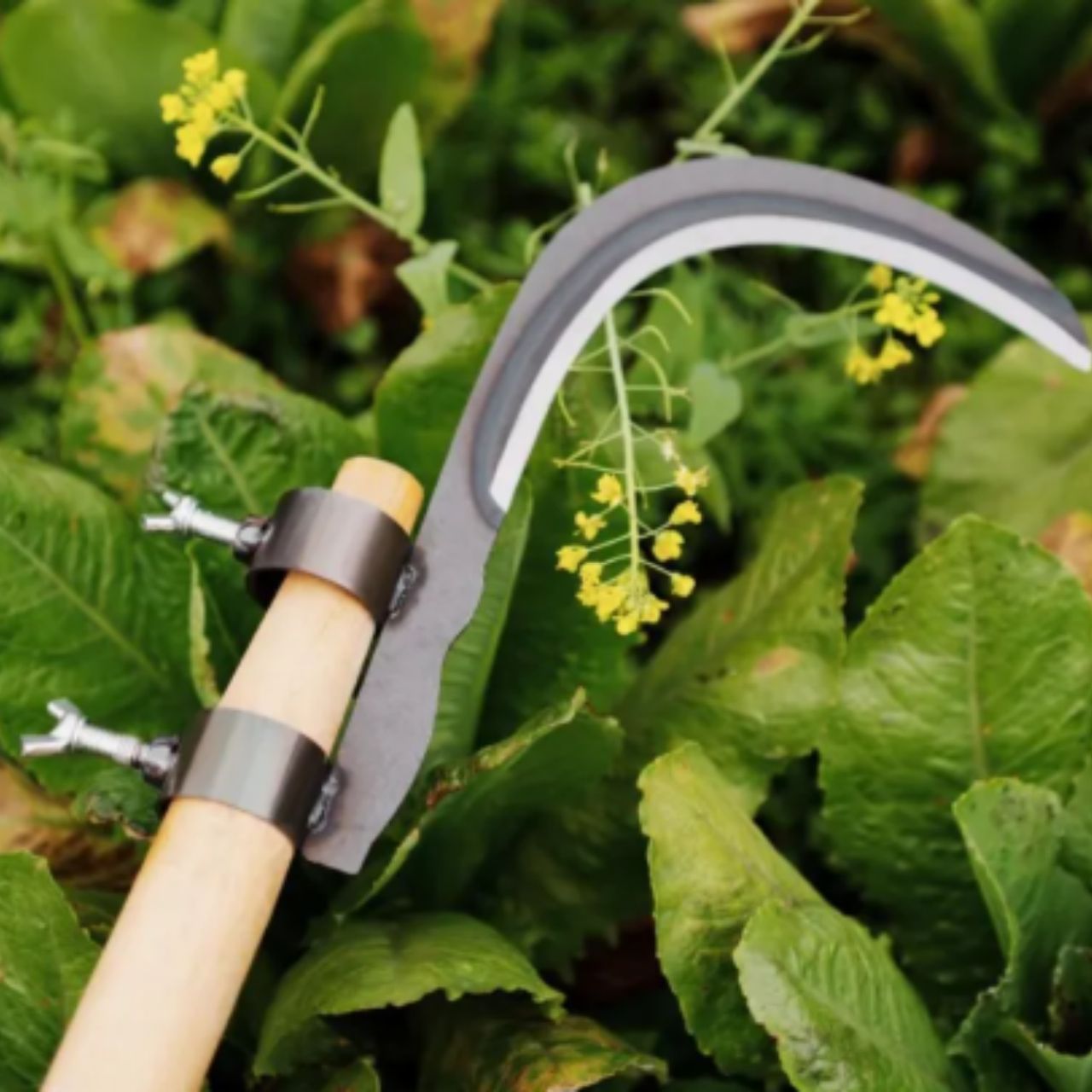 AgroTool, rezač za grane, korov, trnje i vegetaciju - Image 4