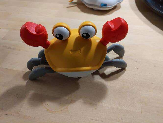 CrawlingCrab, interaktivni rak koji se pomiče kada mu se približite