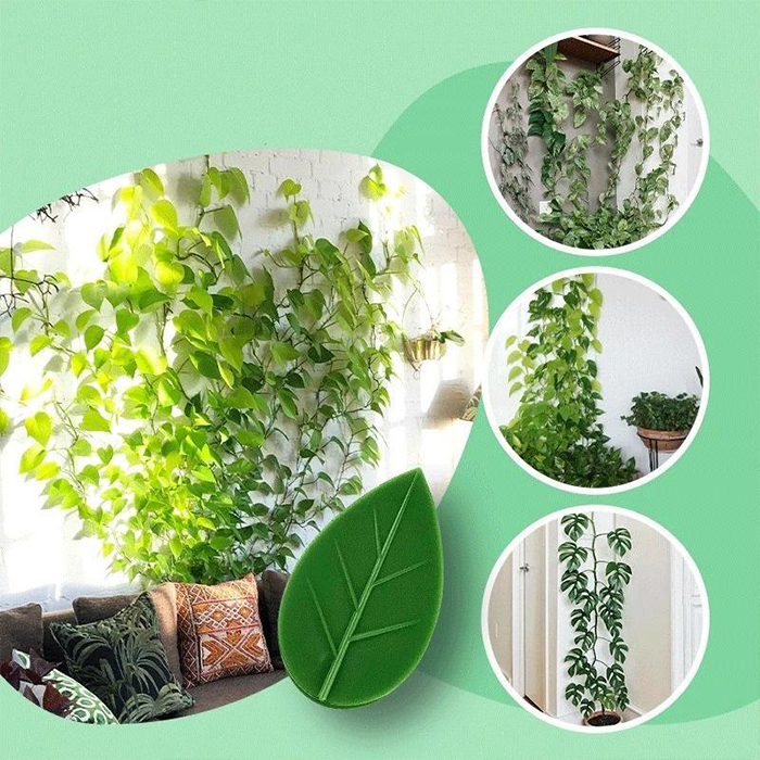 FixtureClips, 10 + 10 BESPLATNIH samoljepljivih držača za grane biljaka - bez bušenja! - Image 6
